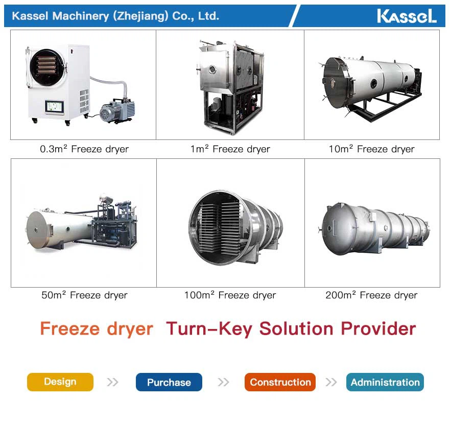 China freeze dryer China freeze dryer