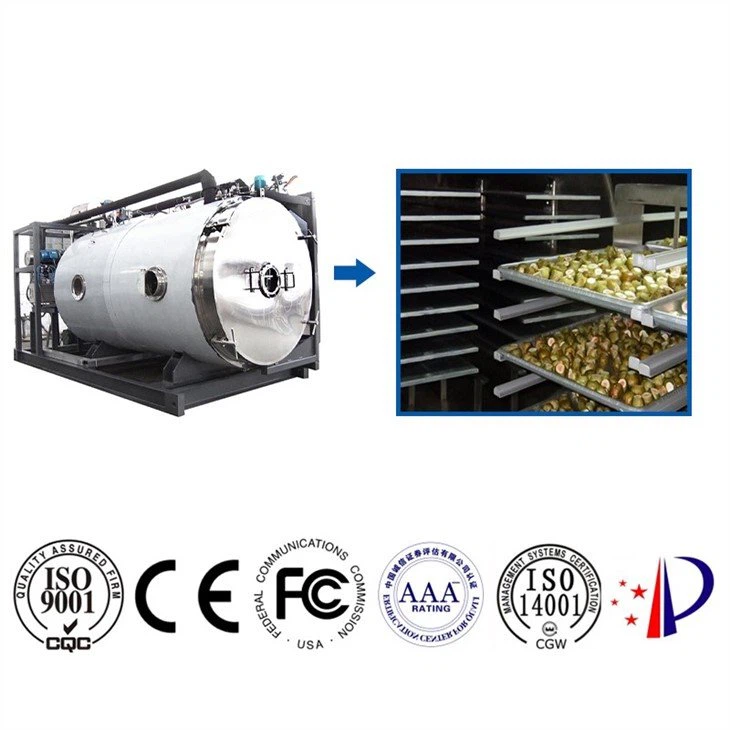 freeze drying equipment for sale